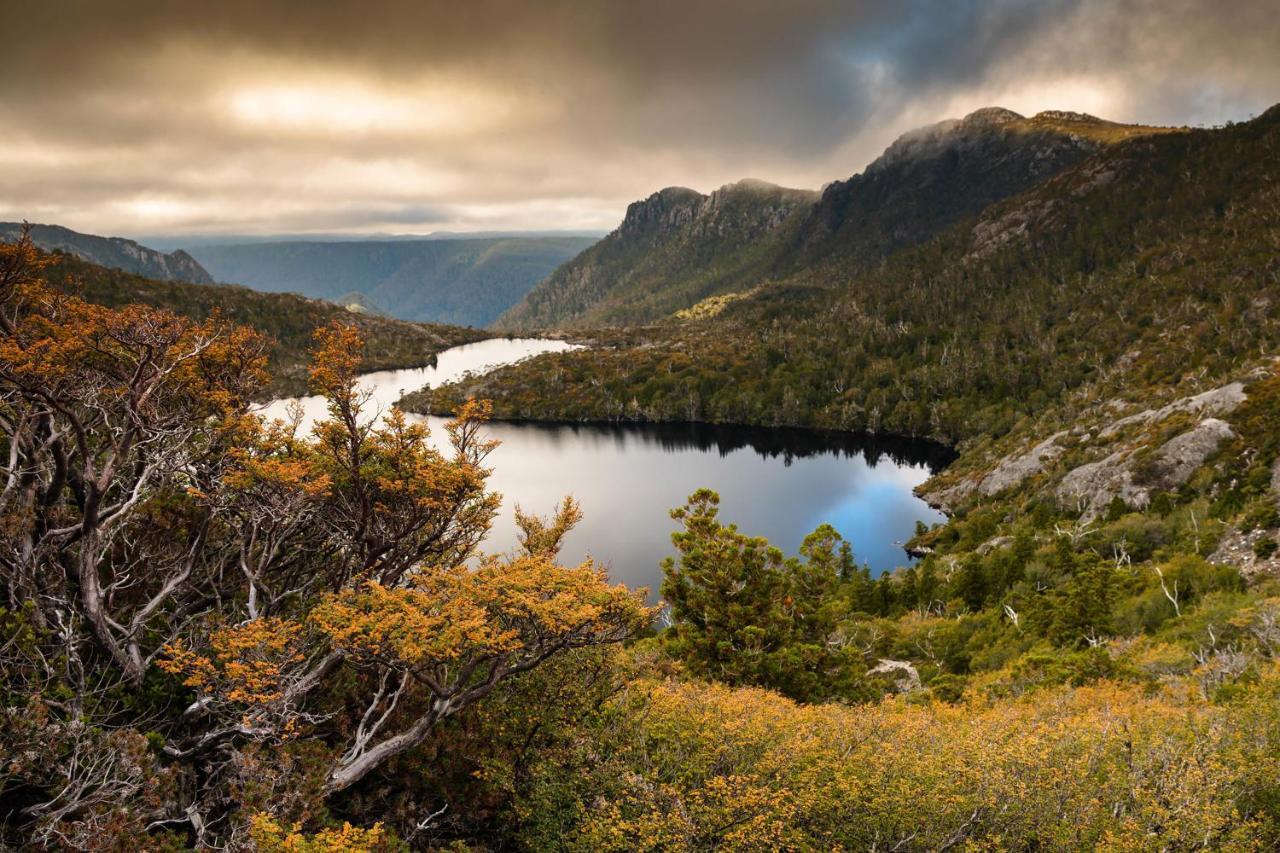 Peppers Cradle Mountain Lodge Bagian luar foto